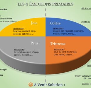 Les gestion des émotions : comprendre les 4 émotions primaires