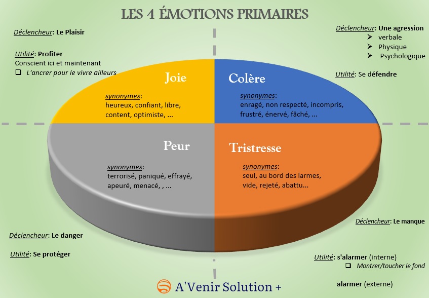 Les gestion des émotions : comprendre les 4 émotions primaires