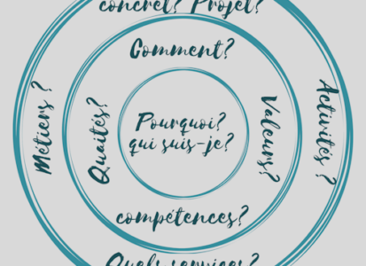 golden circle et transition professionnelle